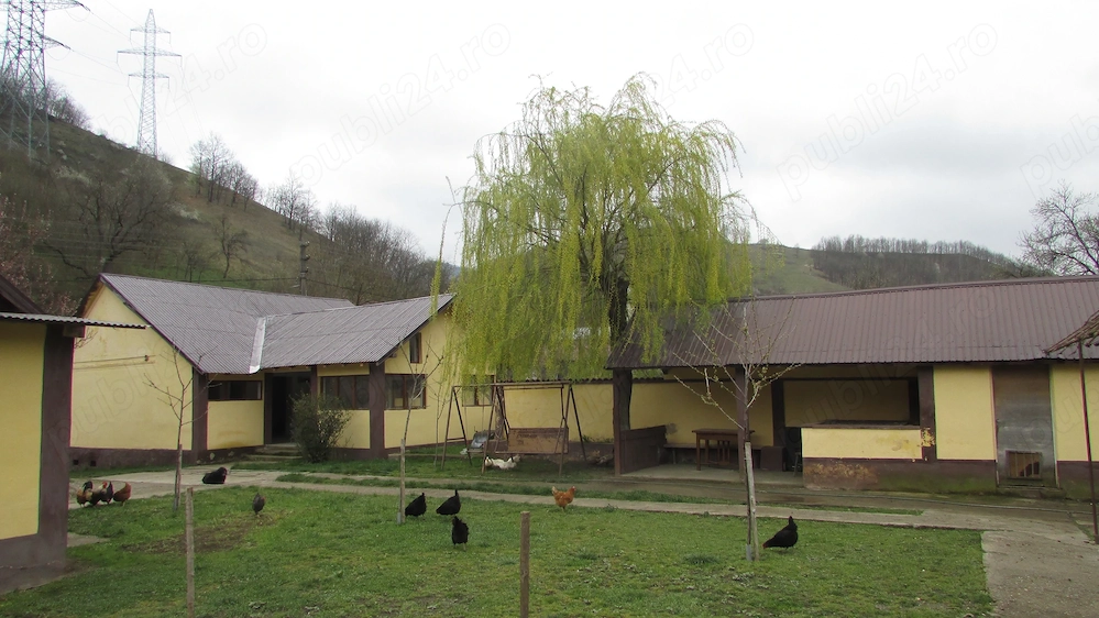 Gospodarie-4 cladiri-teren 2900mp-zona Vetel