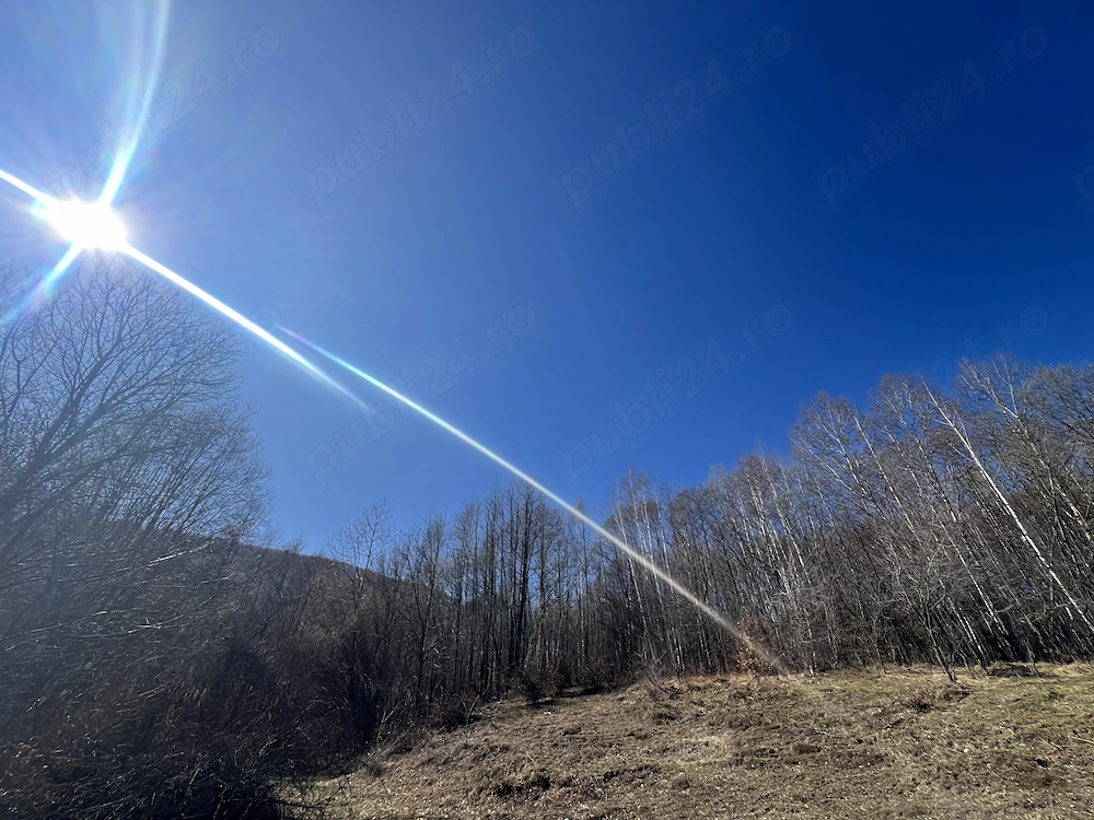 Teren intravilan la munte (2938 mp), la doar 15 minute de Sibiu, zonă superbă 