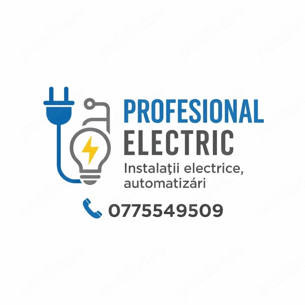 Electrician Interventii
