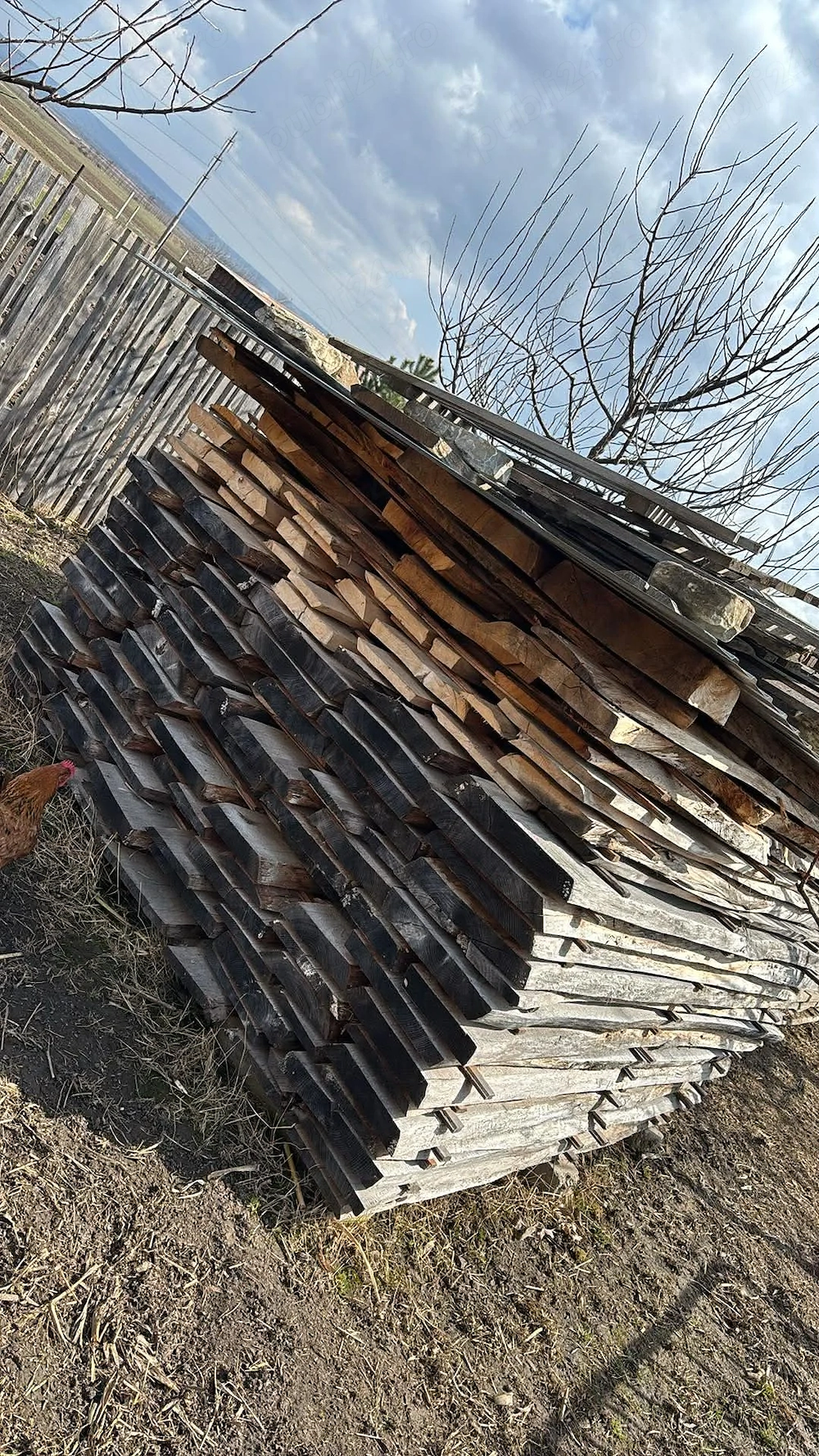 Vând dulap scândură de Nuc stejar tei salcam frasin