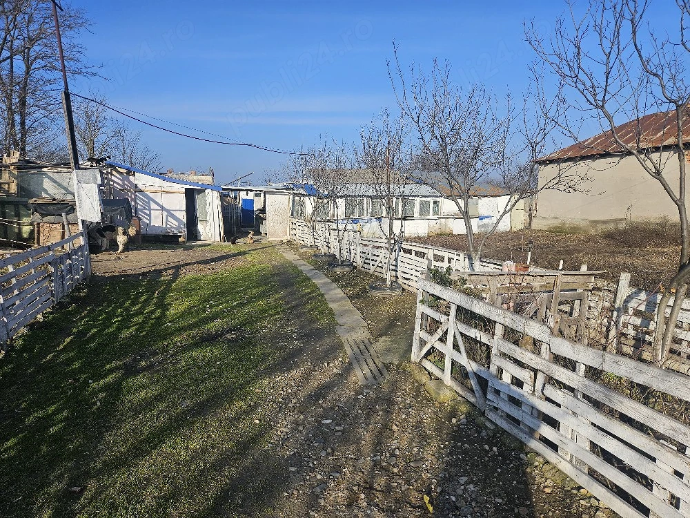 casa +teren