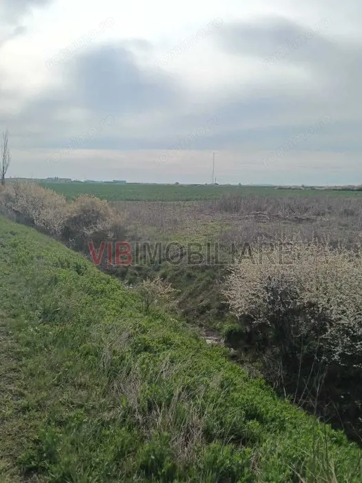 Săcălaz , cartier Europa | Teren intravilan 700mp | Potențial dezvoltare