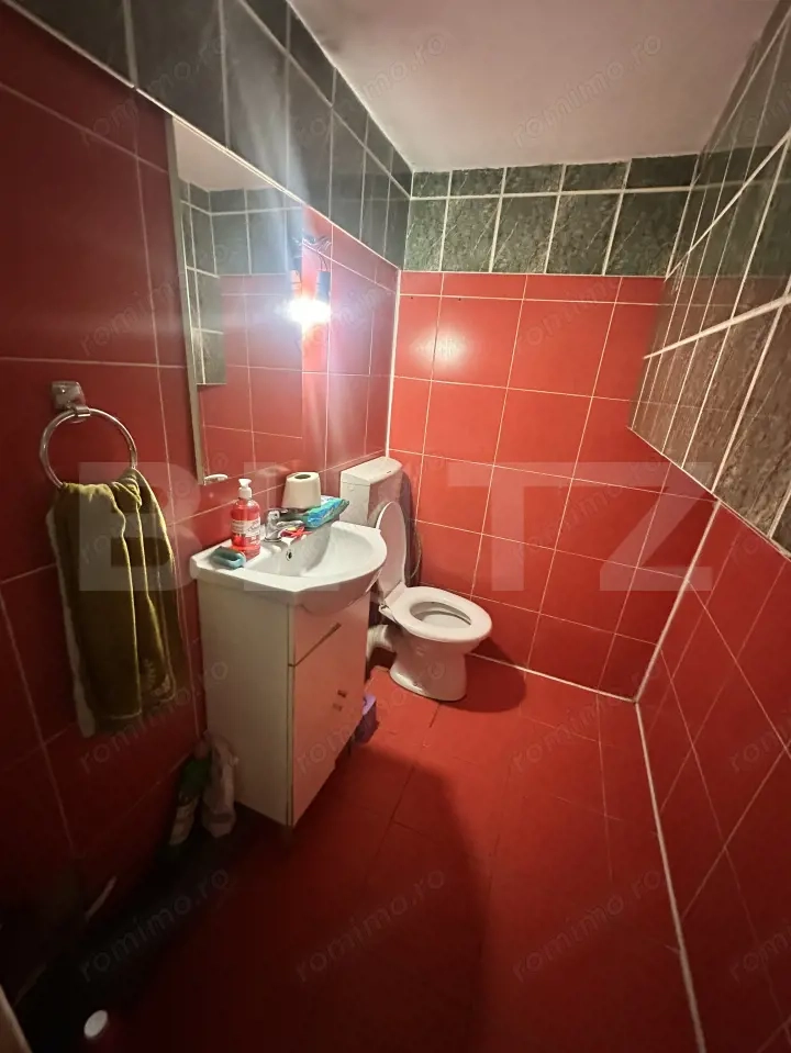 Apartament de locuit + atelier auto + terasa și curte generoasă 