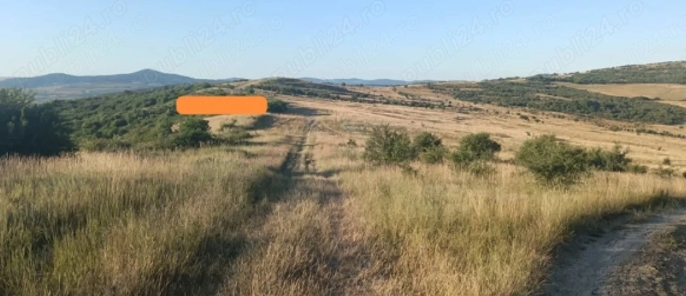 Teren extravilan ,suprafața de 4000 mp (40 ari)zona Motocros Cighir