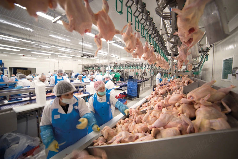 Muncitor necalificat abator păsări