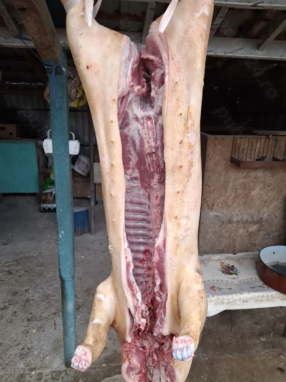 purcei, grasuni carcasa rotisor