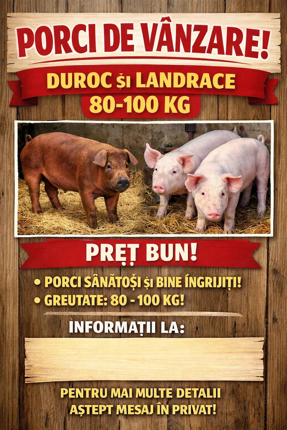 Vând  porci
