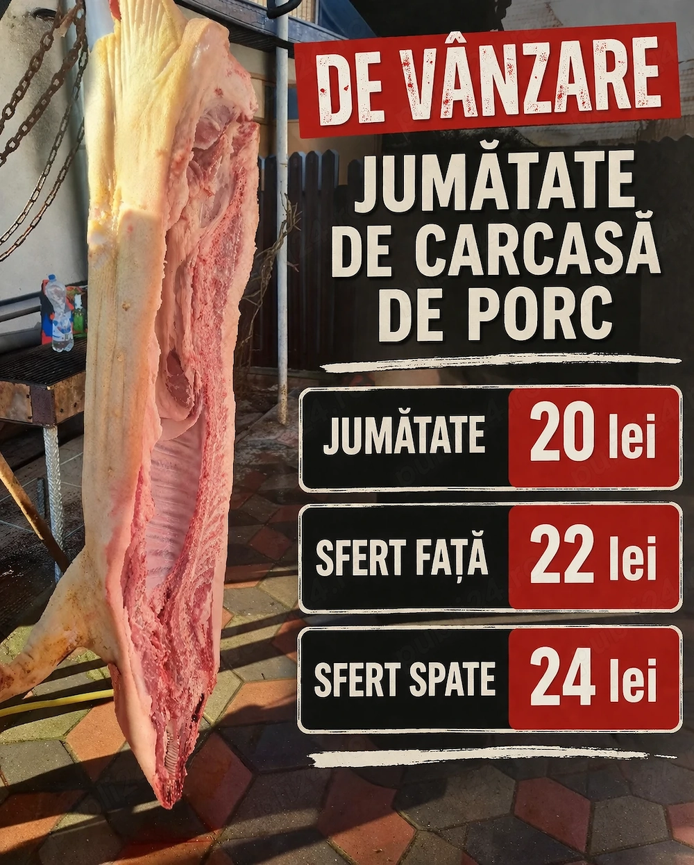 carcasă porc 