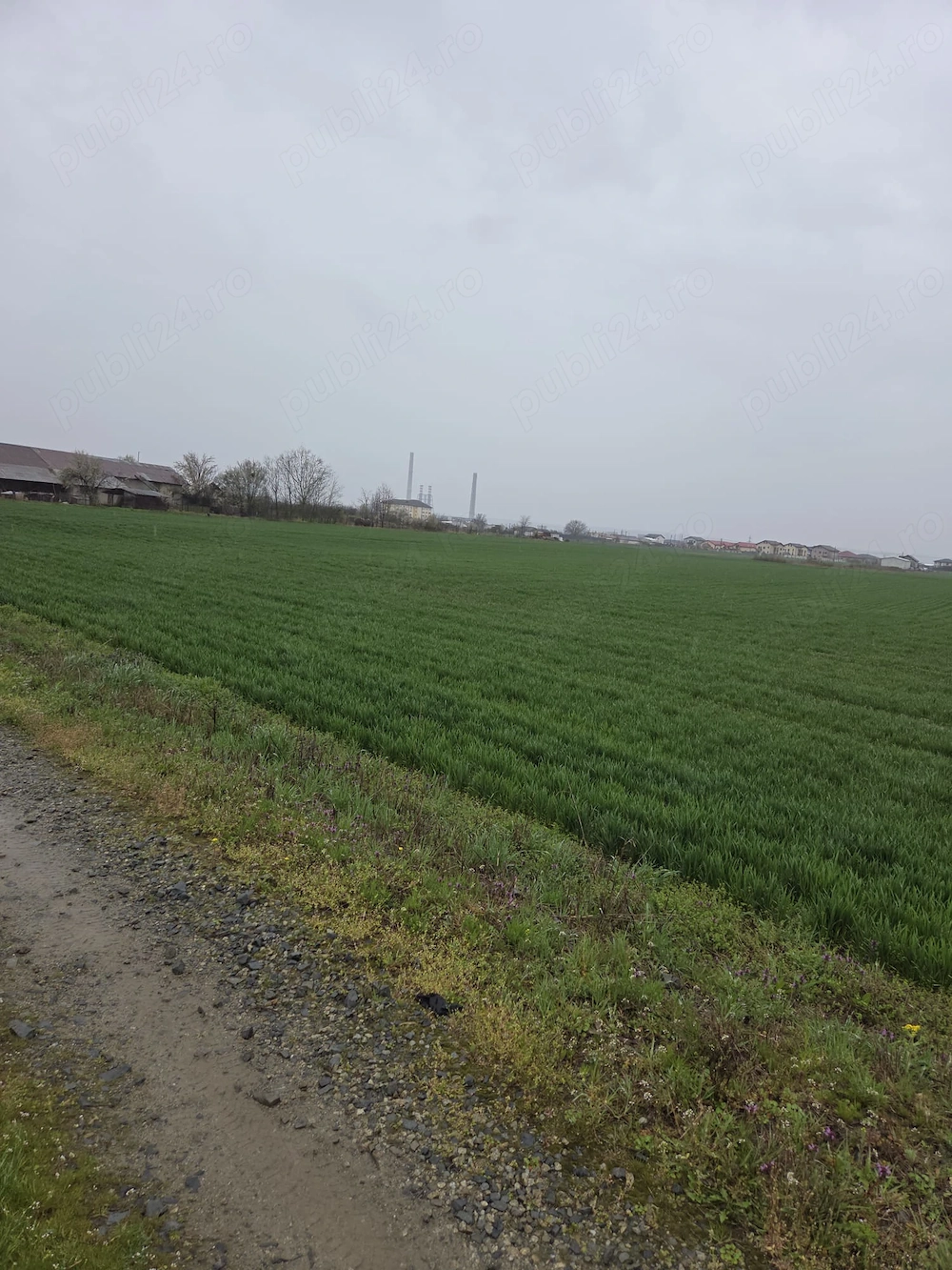 Vanzare teren intravilan Isalnita, 1900mp