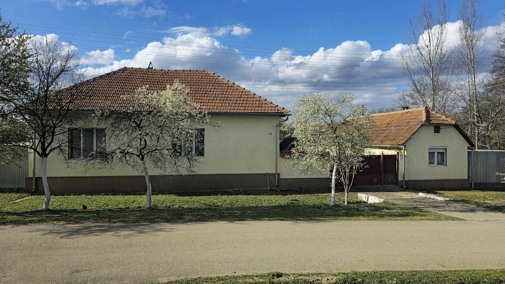 Vand casa in comuna CURTEA, JUD. TIMIȘ