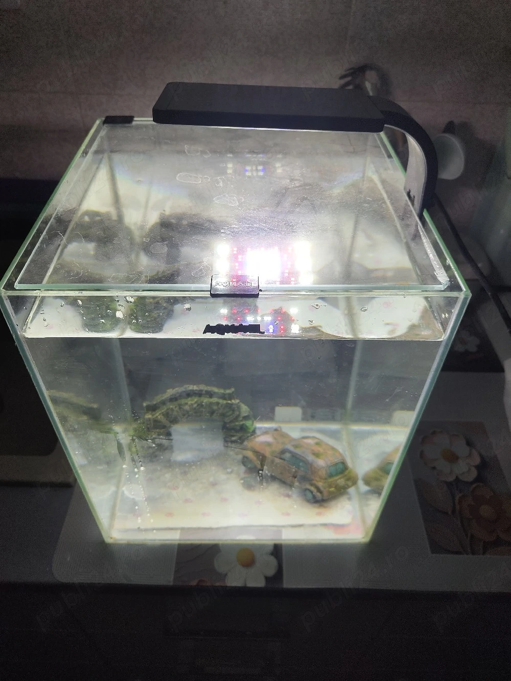 Acvariu sticlă 25 L 