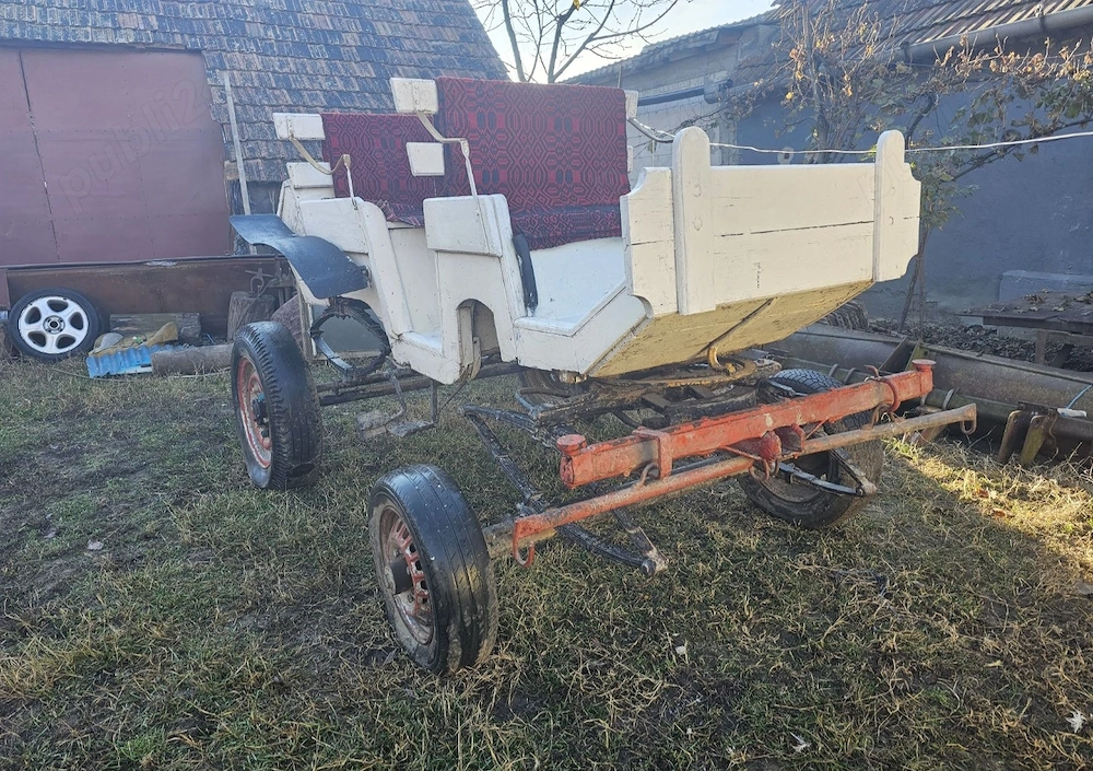 Trăsura pt caii
