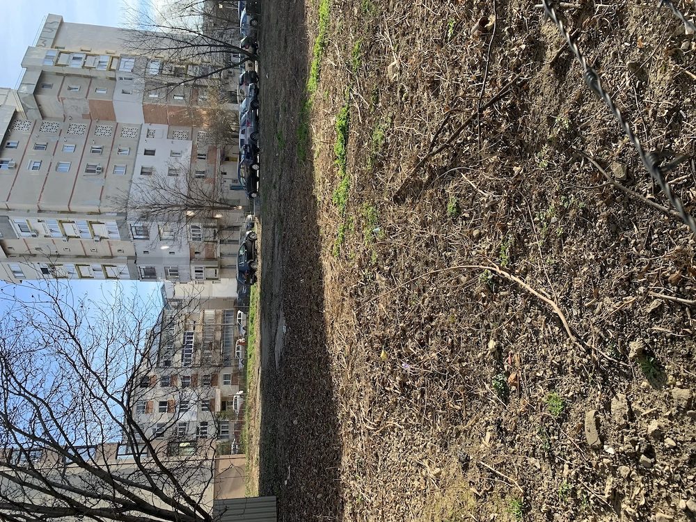 Teren de închiriat Iași Nicolina