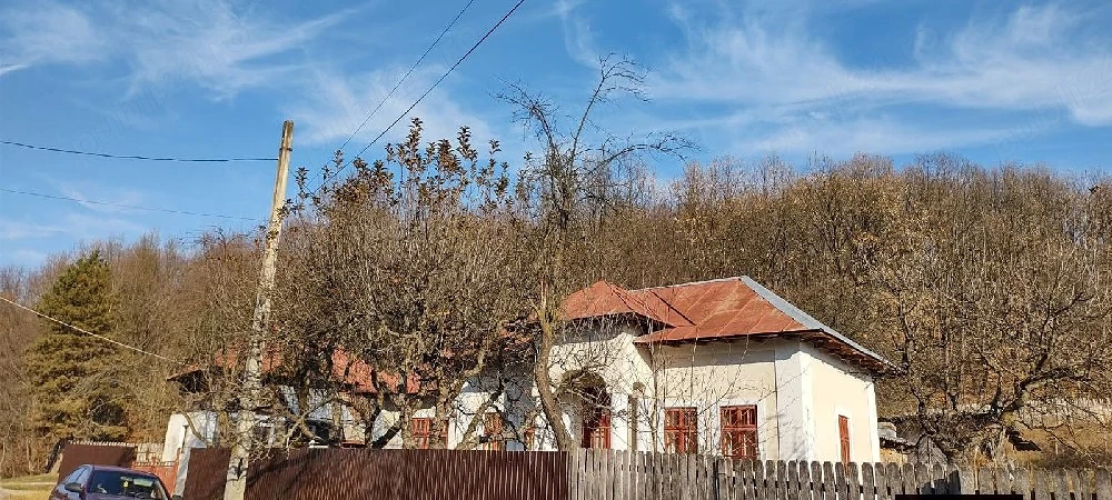 Case si terenuri la țară. 