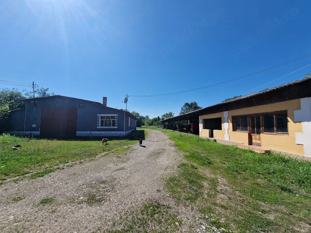 Teren cu construcții anexe!