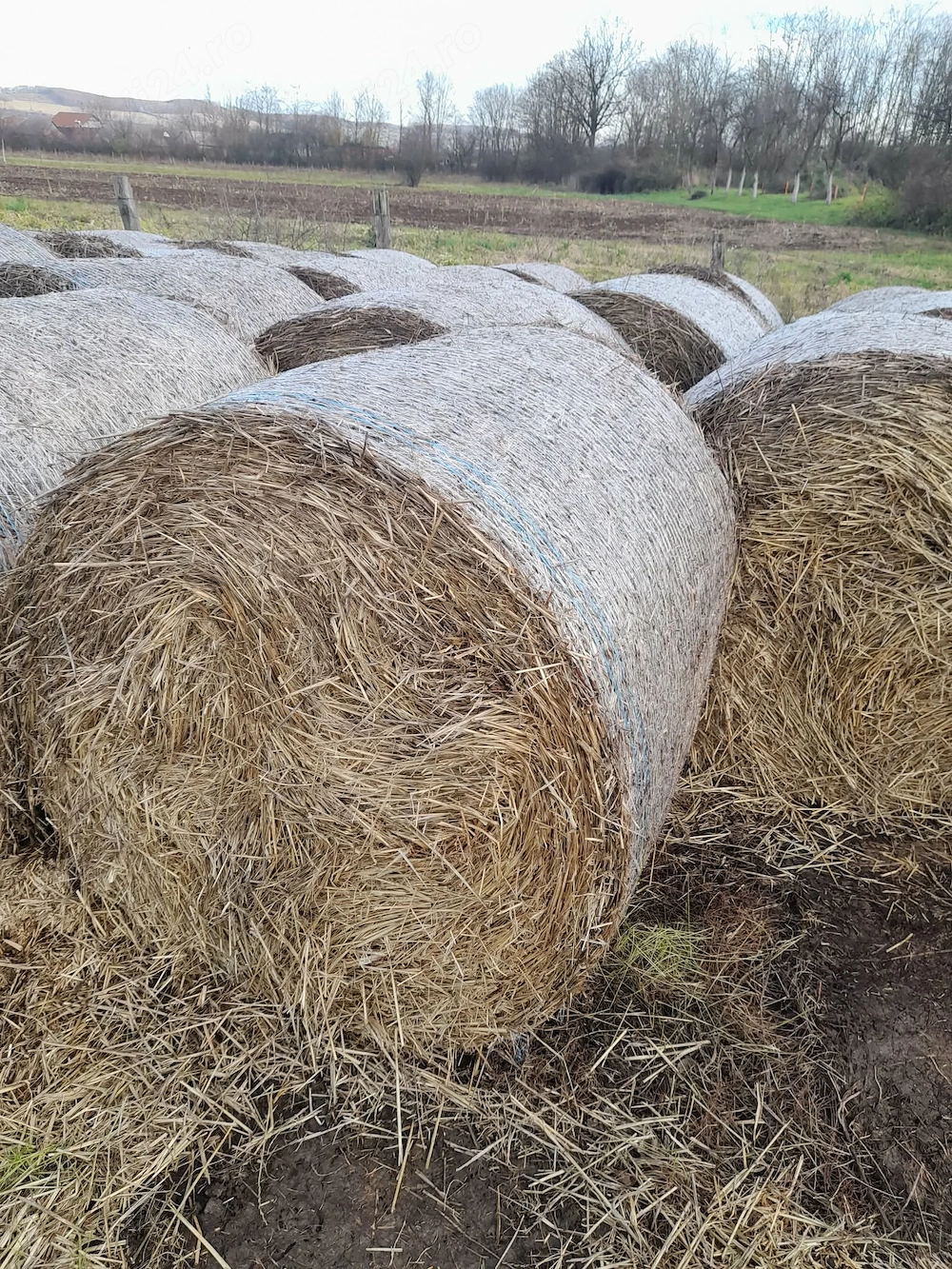 Vand baloti paie de grau