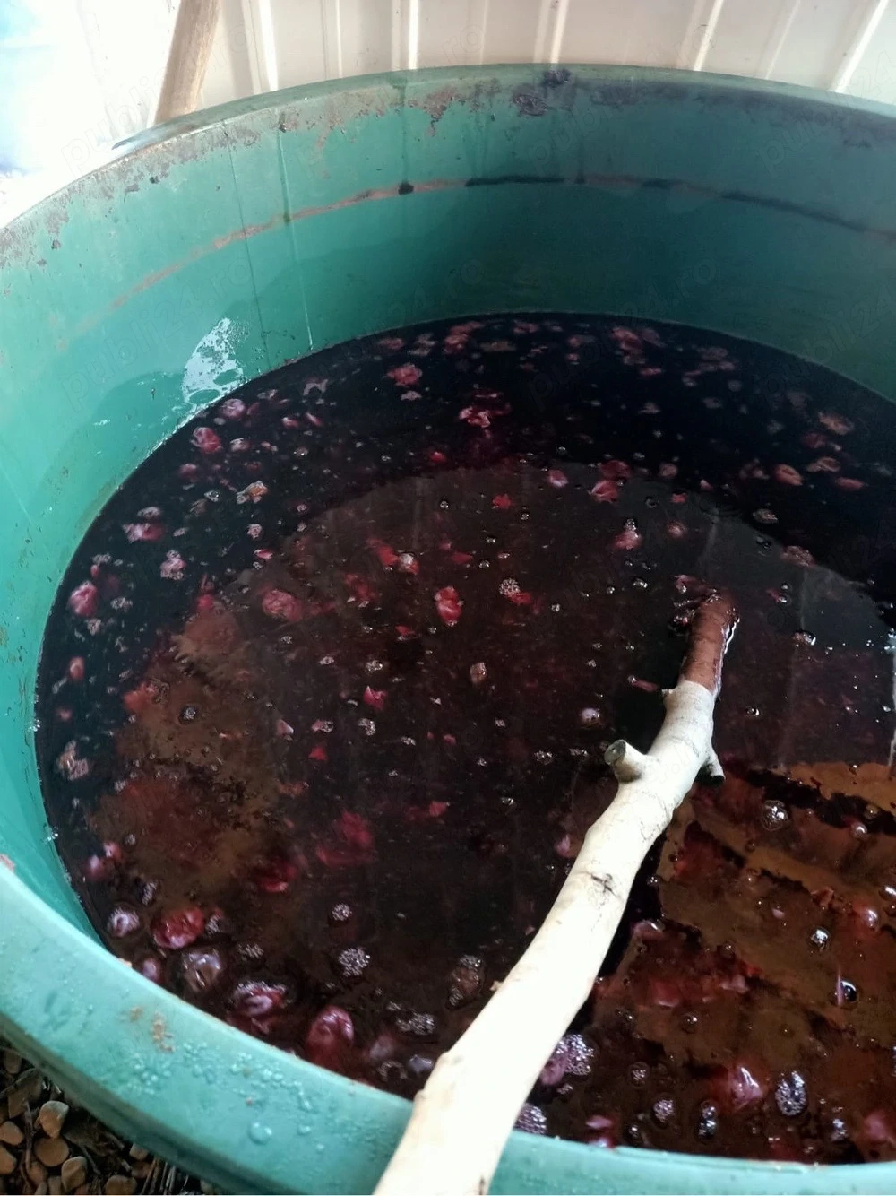 Vand borhot de prune