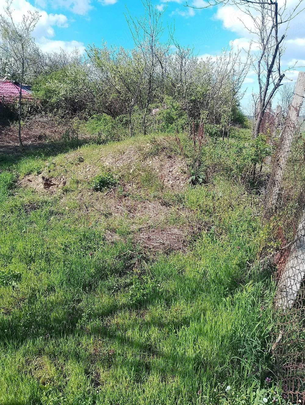 Vand un teren extratabular pe dealul Viilor in Oradea 