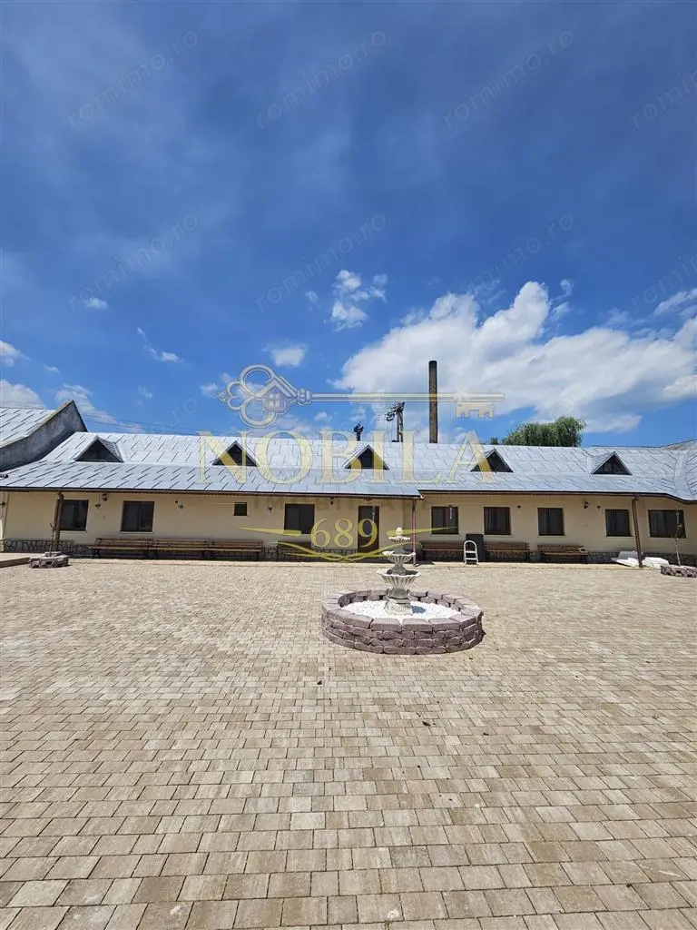 DOMENIU DE VANZARE  IN BORZESTI   ONESTI TABARA DE COPII,AZIL BATRANI,CENTRU DE SANATATE