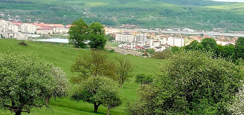 Teren intravilan  1000 mp  - zona exclusivista !