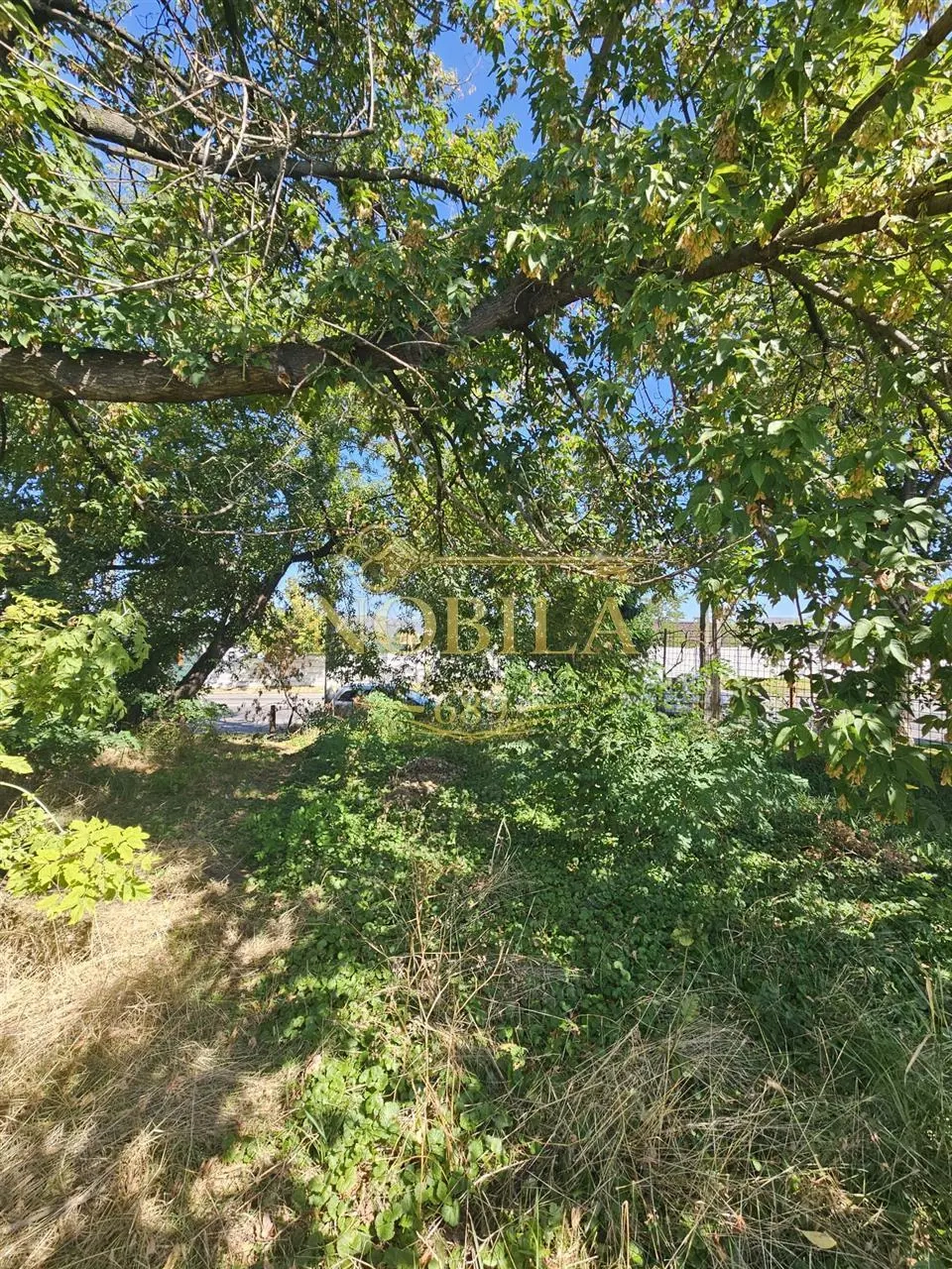 TEREN INTRAVILAN DE VANZARE ONESTI