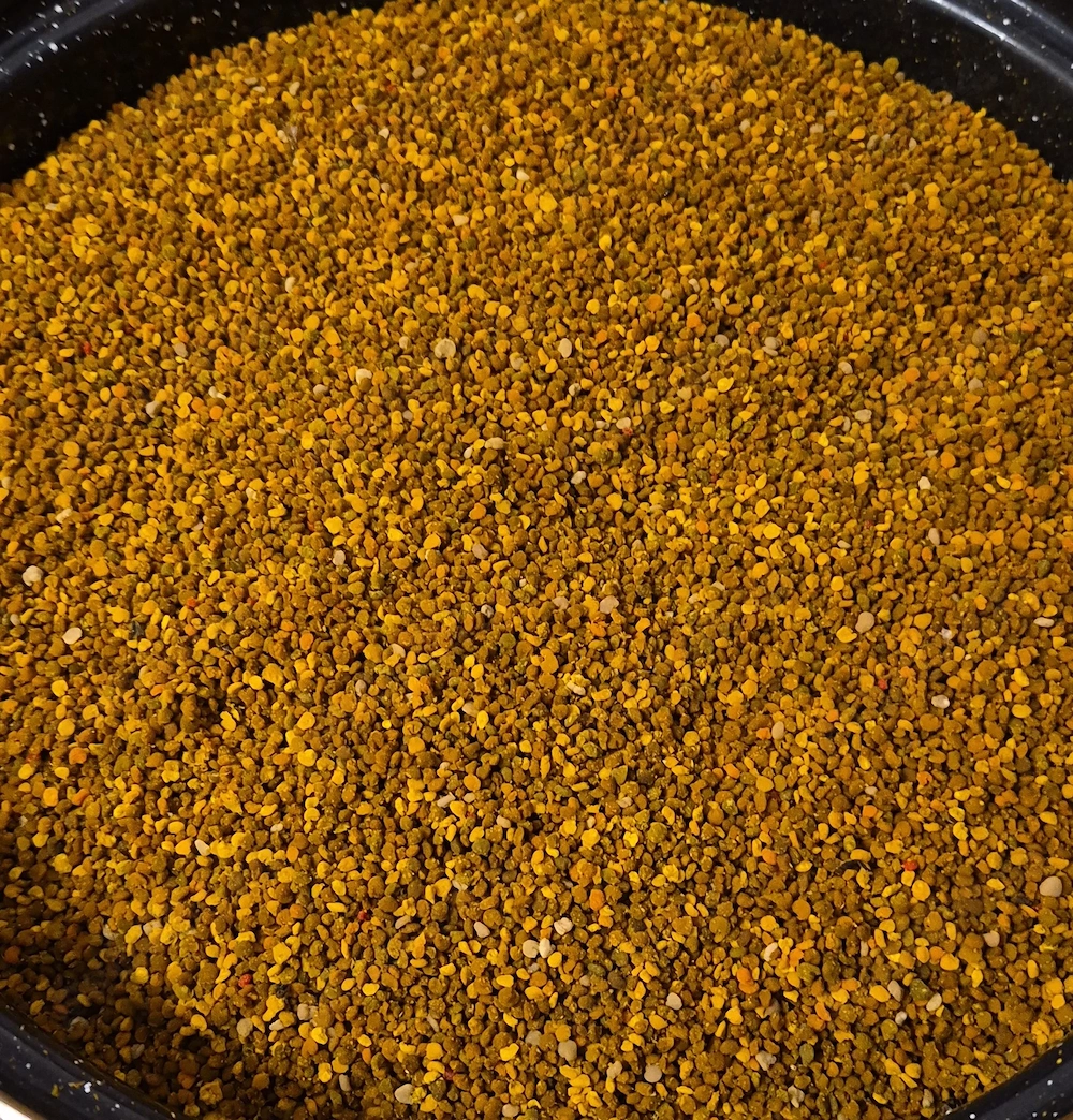 Vand polen crud,primavara 2026