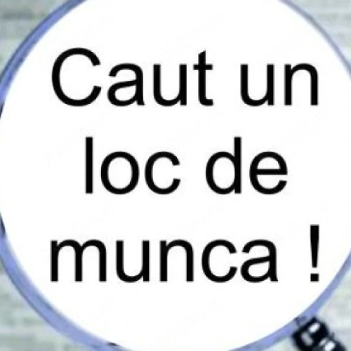     Caut loc de munca stabil   