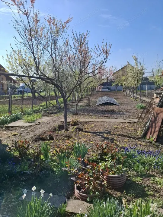 Sanandrei - Casa 5 Camere - Vatra Satului -Teren generos