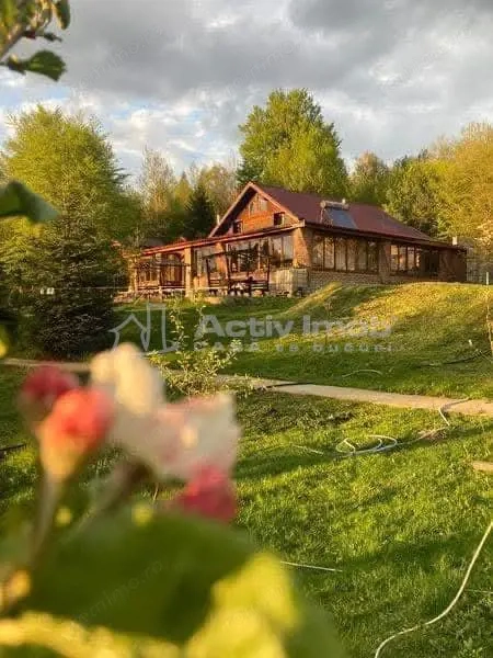 Pensiune - Restaurant - Cabanute - Lac pescuit