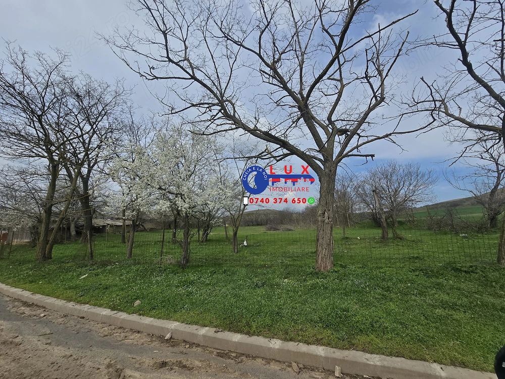 ID 6750 PROPRIETATE GENEROASĂ | Comuna Izvoarele | 3.700 MP teren