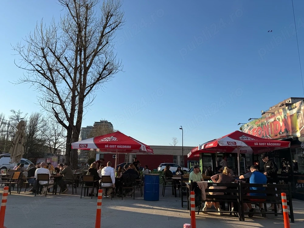 vanzatoare leonida grill - metrou 