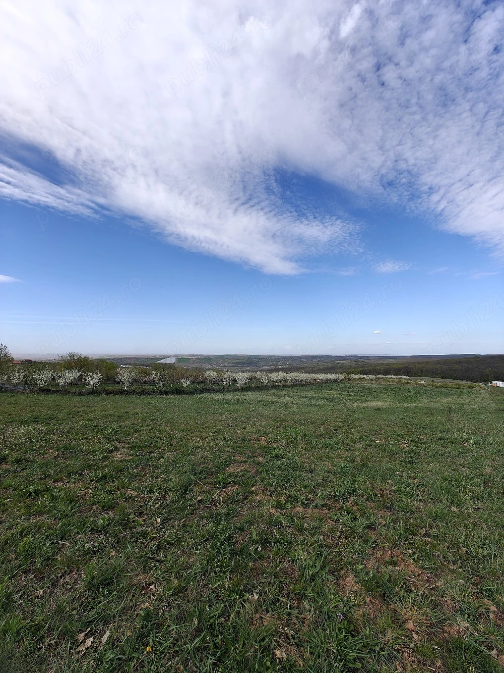 Teren intravilan cu branșament electric trifazic existent pe teren.