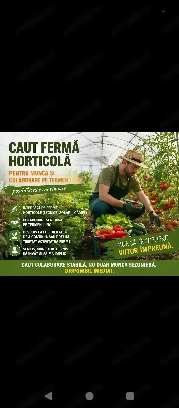 Caut fermă horticolă pentru muncă și colaborare pe termen lung (posibilitate continuare)