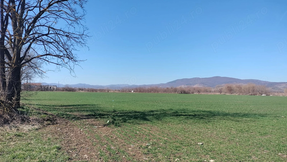 Vând în ăntregime un teren intravilan în orașul Hațeg cu suprafața de 3,4 ha