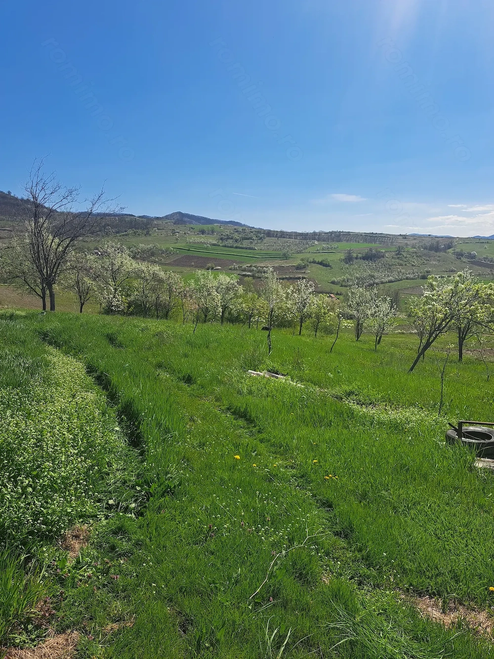 Vand sălaș 