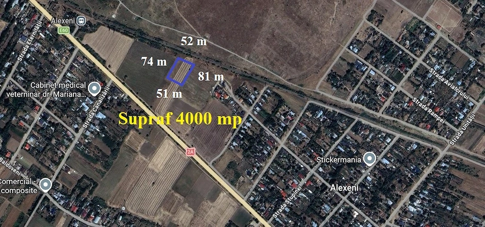 Alexeni teren intravilan 4000 mp