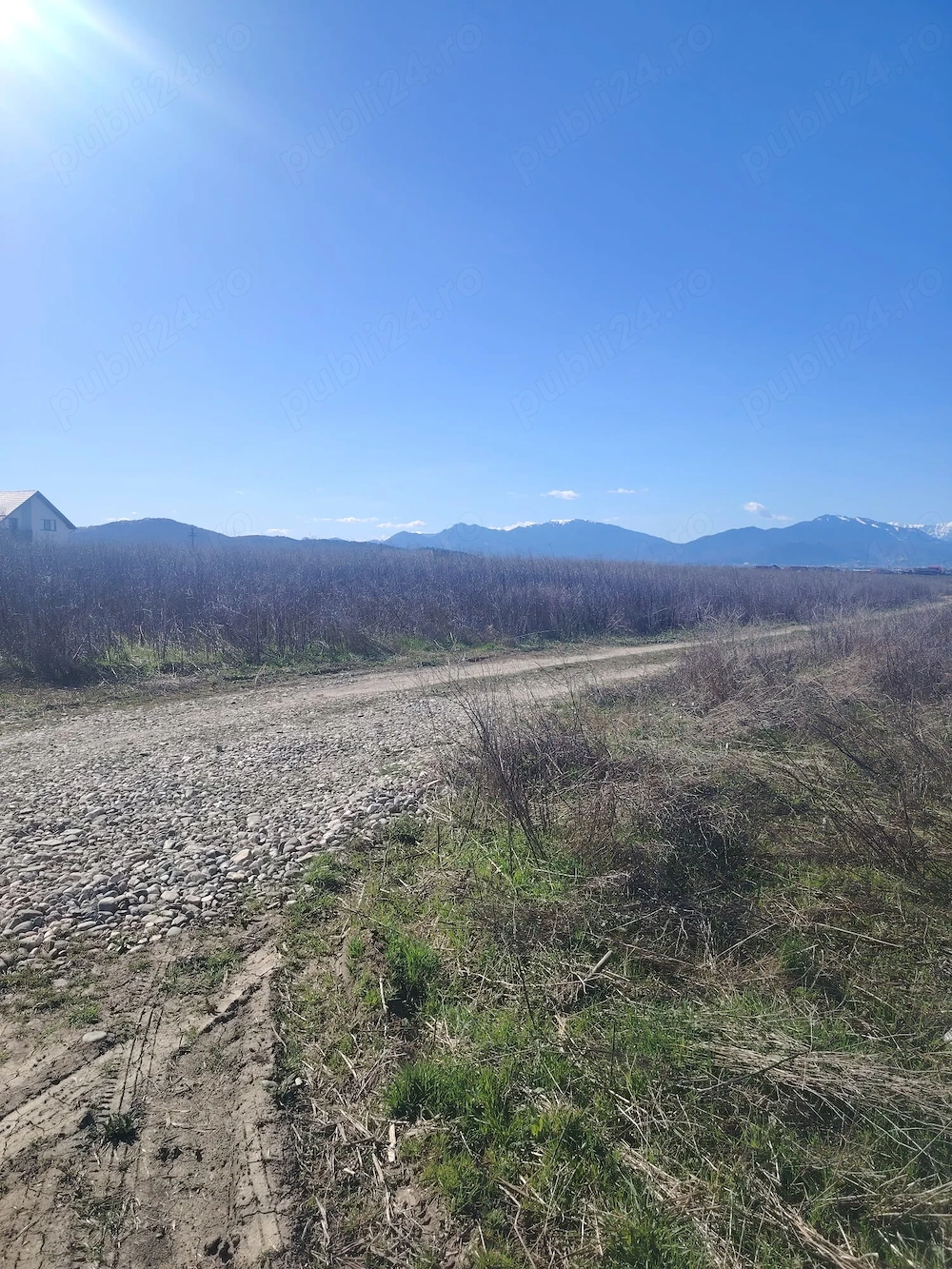 Teren pentru constructii case in Cristian