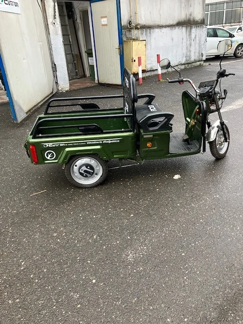 Triciclu Electric RDB L-KLASS 2 (2023)   Benă Basculabilă 300kg   Factură