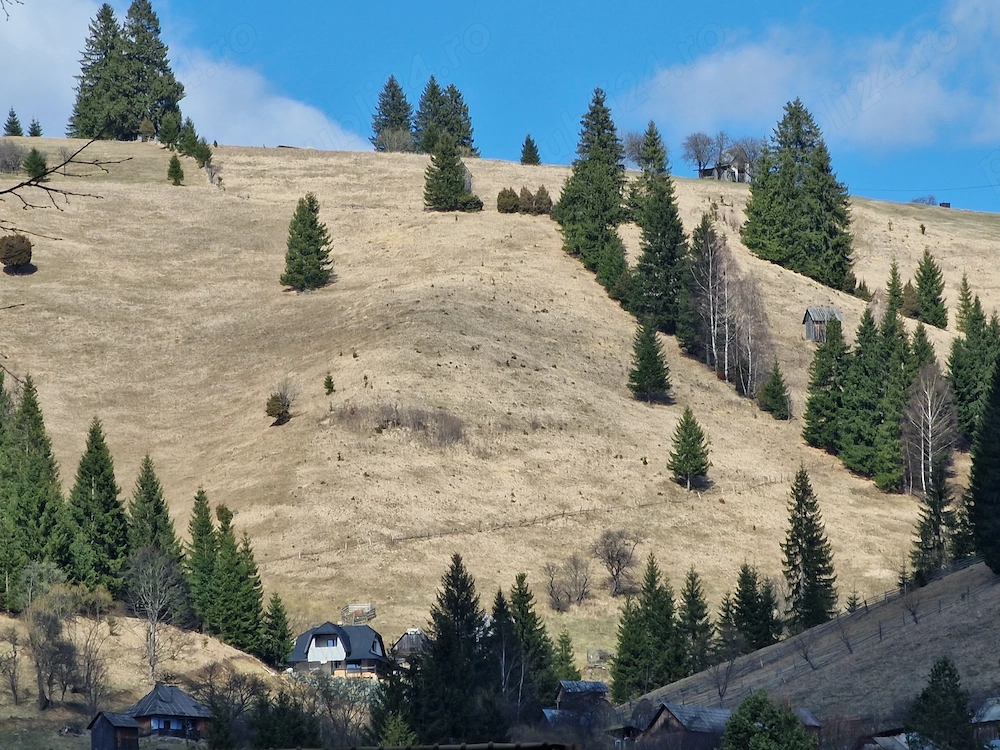 Teren Panoramic + Casă   Bucovina (Breaza, Suceava)   Vedere exceptională