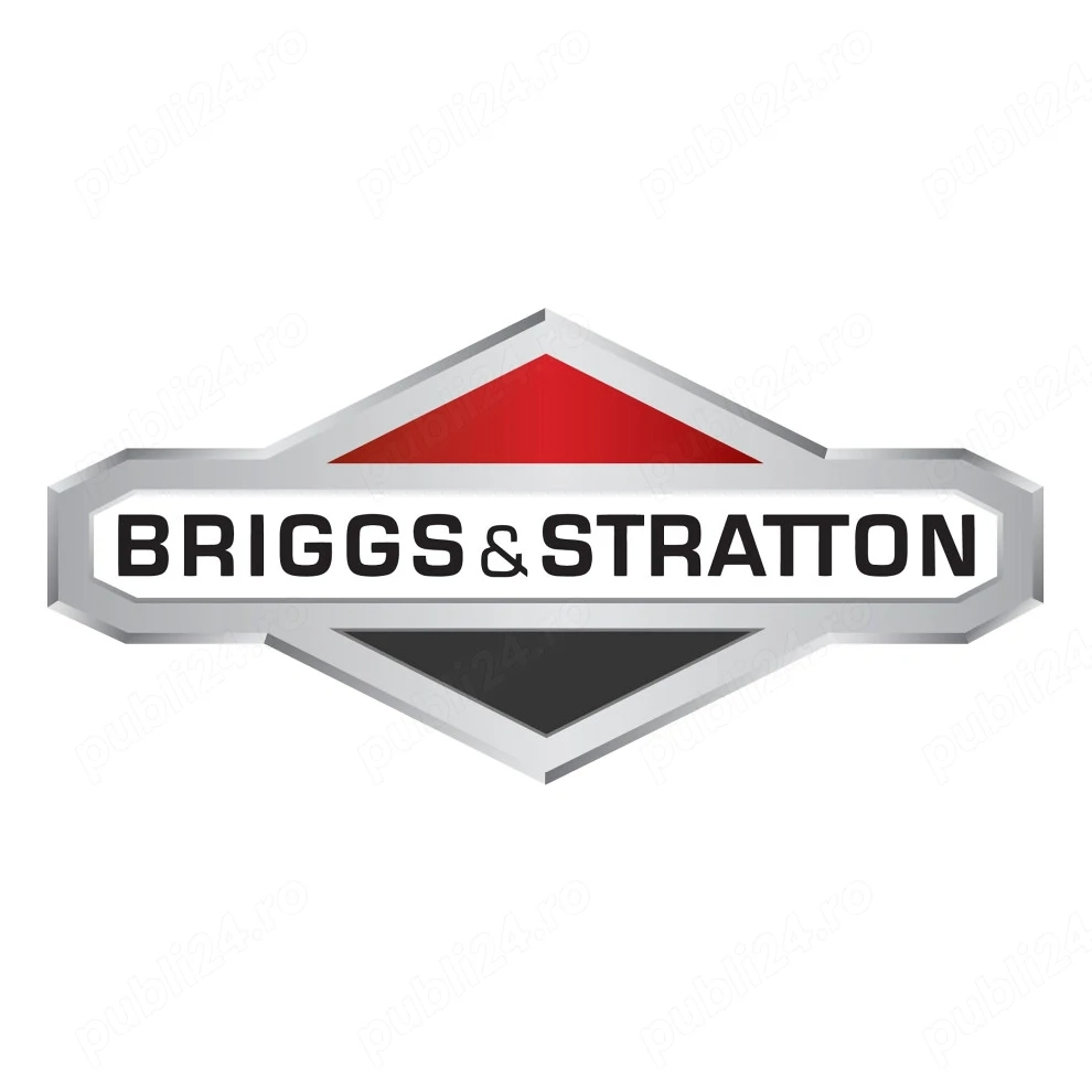 Piese Briggs & Stratton
