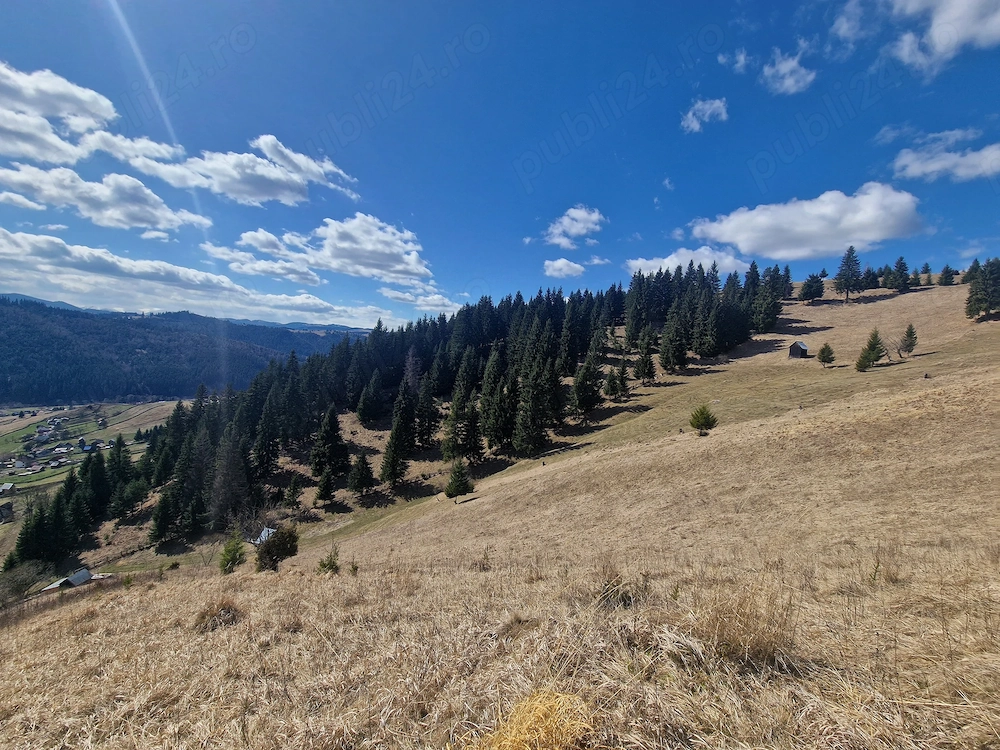 Teren 3,7 ha cu casă tradițională   Breaza, Suceava   Vedere panoramică, proiect turistic