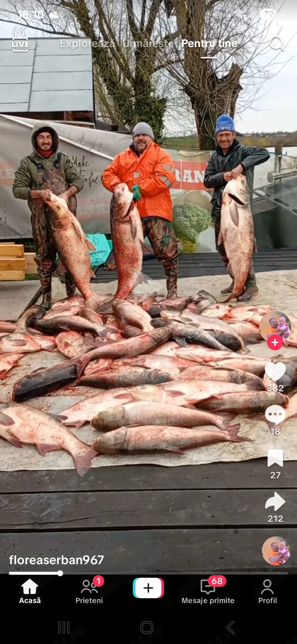 Caut om serios pentru baltă de pescuit 