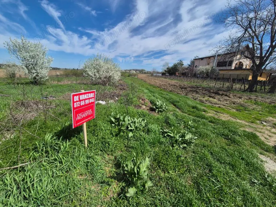 2 loturi de teren INTRAVILAN Bolintin-Deal 7800 mp și 2500 mp Preț negociabil