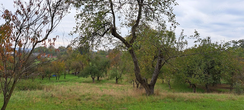 Vând teren + casă bătrânească + șură + anexe în Ocoliș, jud. Maramureș