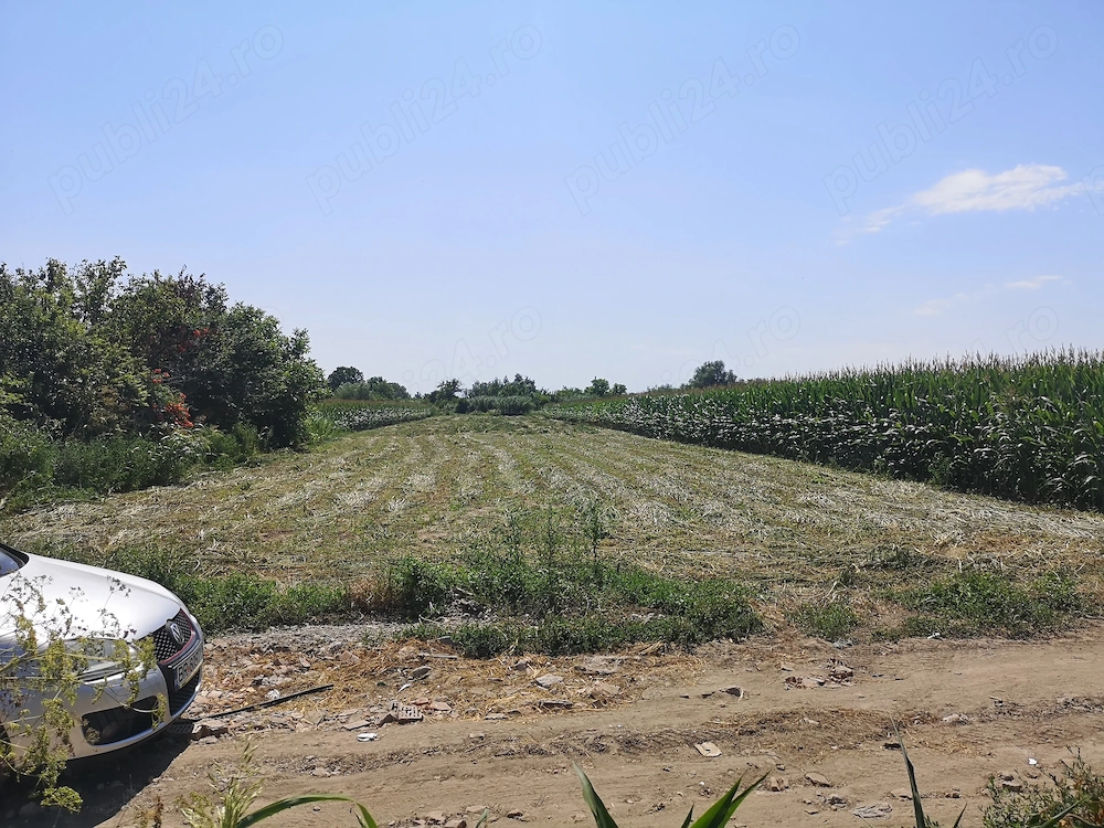 vând teren intravilan sat Varsatura