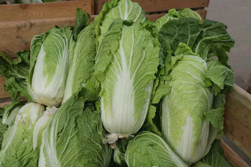 3 cupluri la ambalat  salata verde 