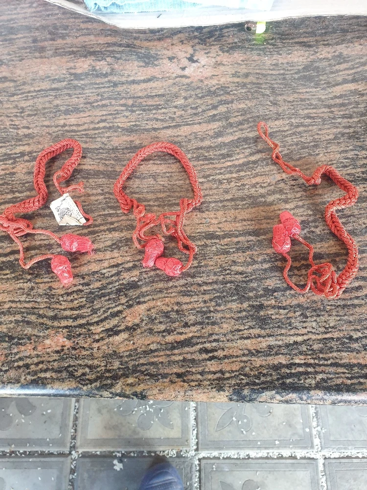 pionerii din comunism