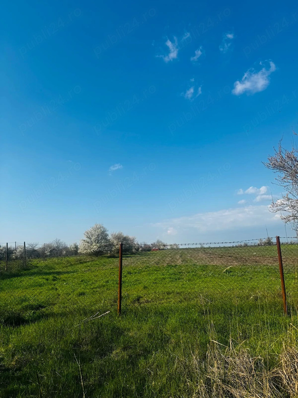 Livada Teren intravilanVând teren de 1000 mp, situat într-un sat liniștit, ideal pentru construcție 