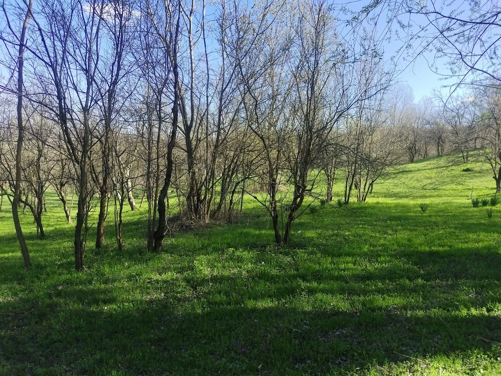 Teren intravilan com.Drajna, sat Cătunu, 12 km de Vălenii de Munte, jud. Prahova 