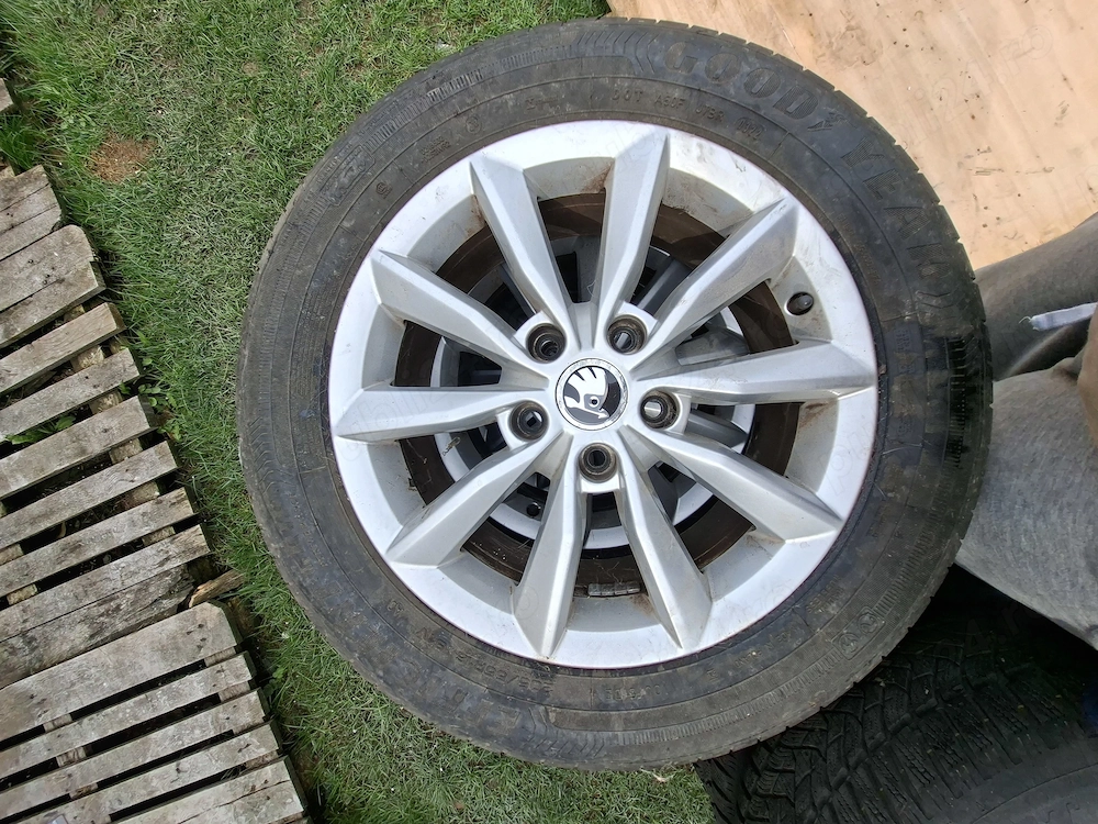 Roti complete vara iarna